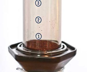 Aeropress with coffee grinds inside