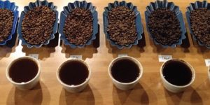 coffee tasting notes come from coffee cupping