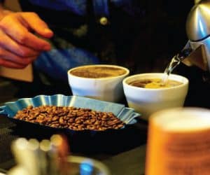 Coffee Tasting Notes and coffee cupping in progress