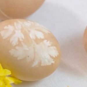Coffee dyed eggs